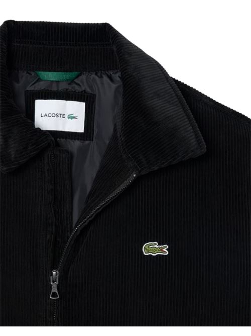 BH2994031 NERO lacoste | BH2994031 NERO